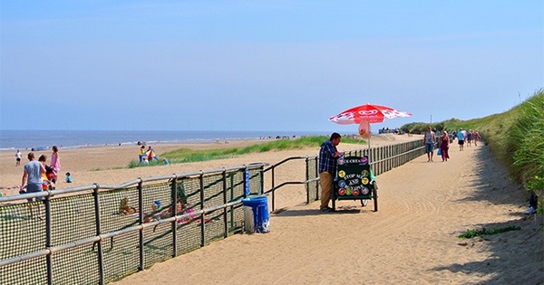 Willow By The Sea